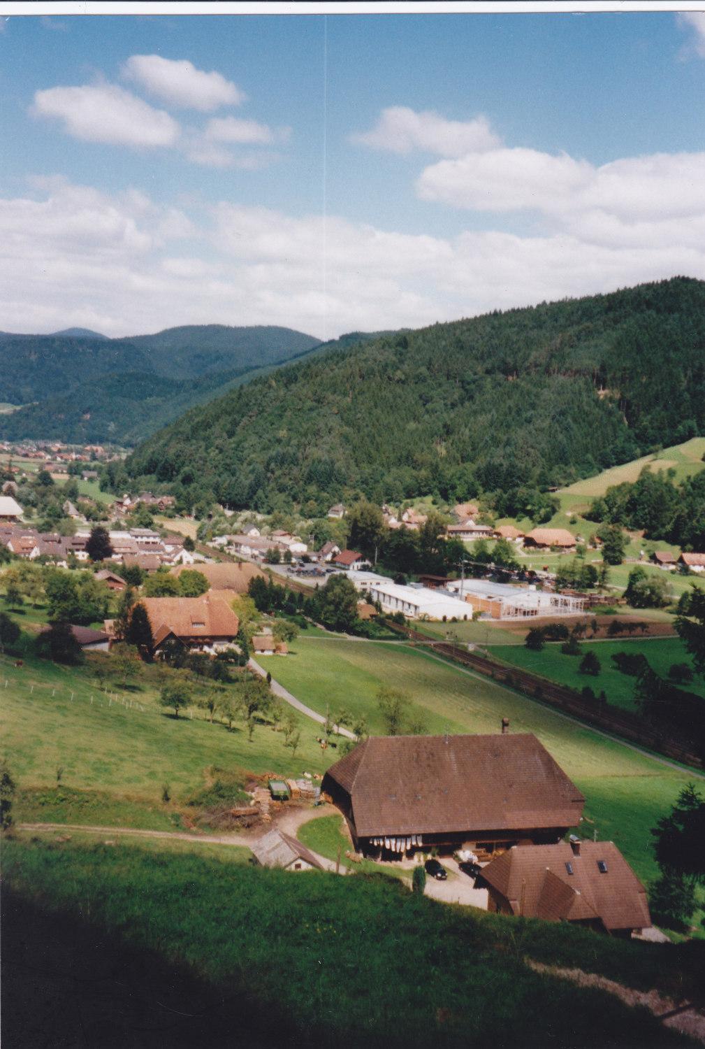 Waeldebauernhof Hotel Gutach Buitenkant foto